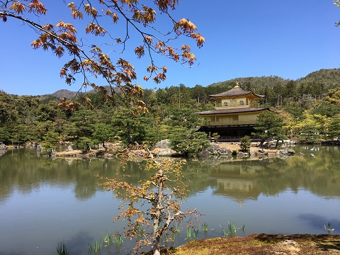 金閣寺